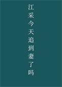 江采今天追到妻了吗作者陈十年