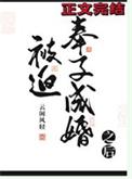 被迫奉子成婚之后TXT