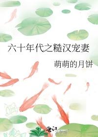 六十年代之糙汉宠妻日常百度