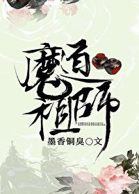 魔道祖师梗概